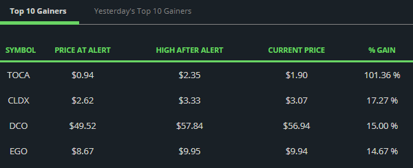 Top Gainers After Algo Trading Alert